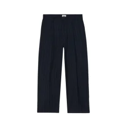 Dean Stripe Pleated Pants Midnight Navy Multi